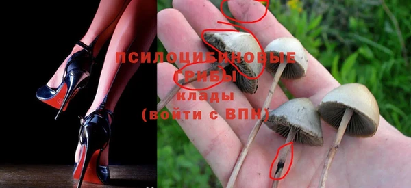 наркотики Краснослободск