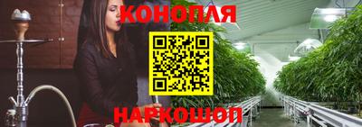стафф Заводоуковск